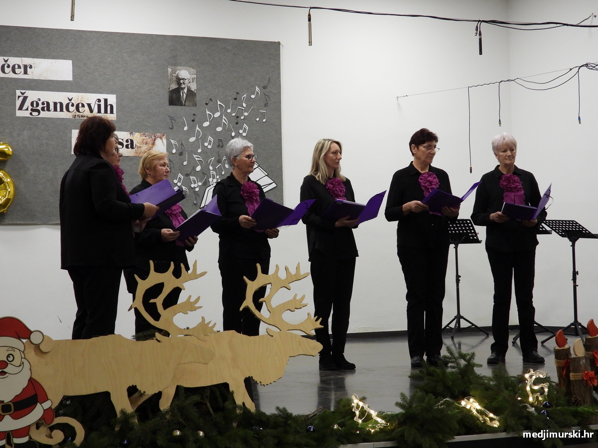 Žgančevi zapisi Vratišinec (63)