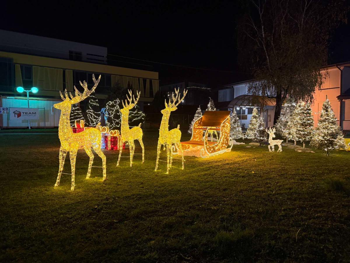 Advent 2 svijaca SVMNM