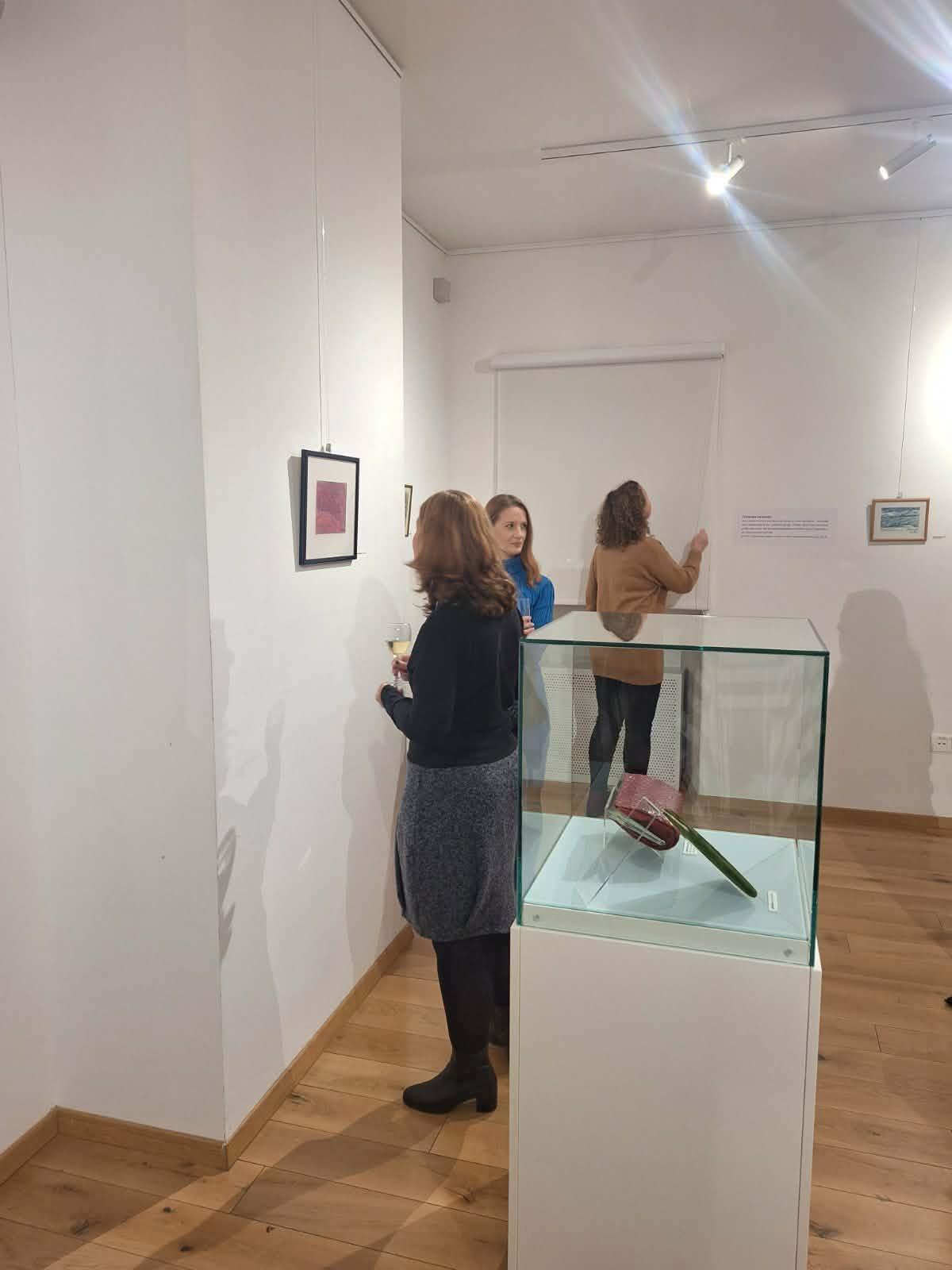 Izlozba vesna parun cakovec (13)