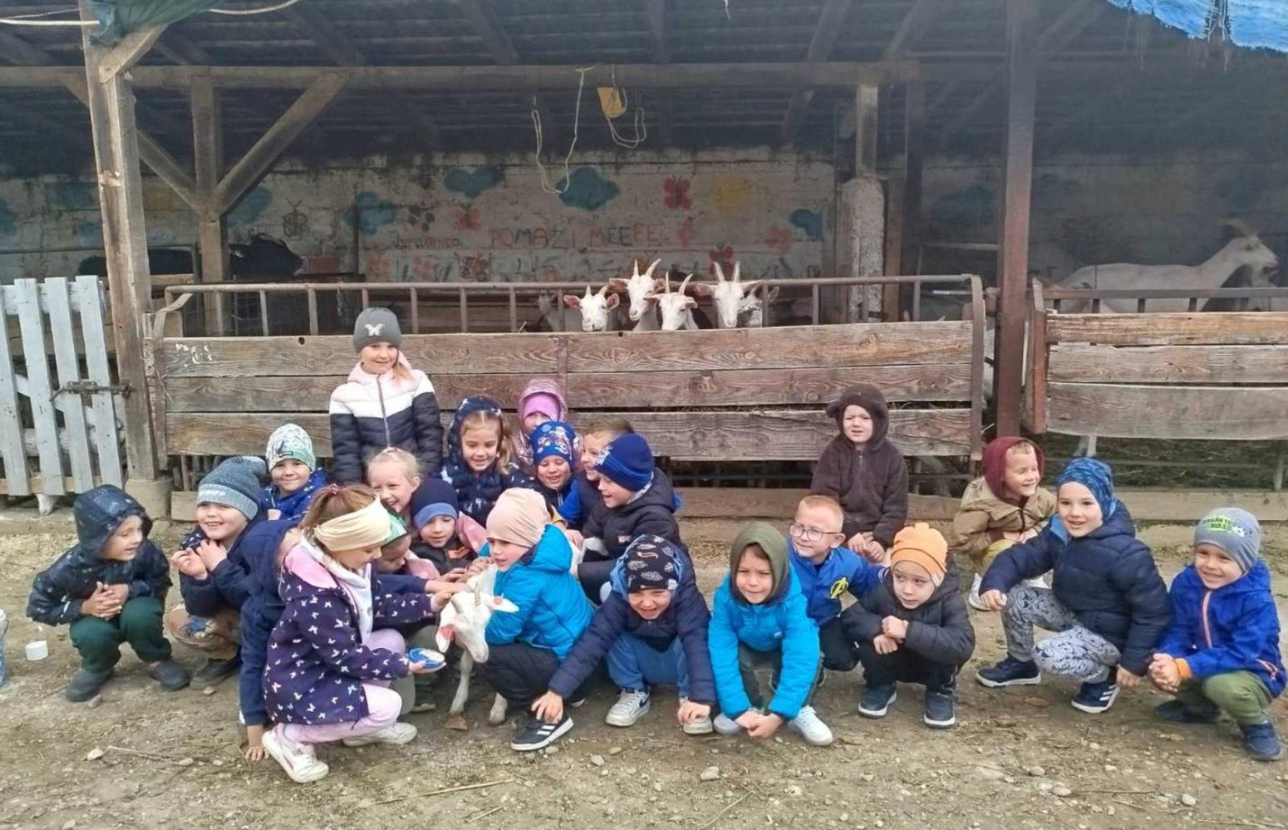 Viber slika 2025 12 02 13 11 32