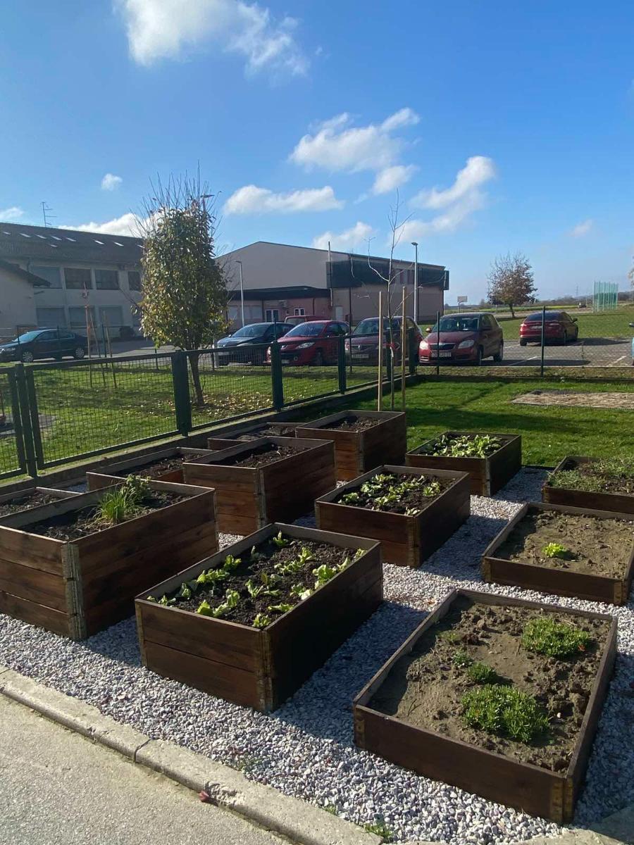 Viber slika 2025 12 02 13 11 33