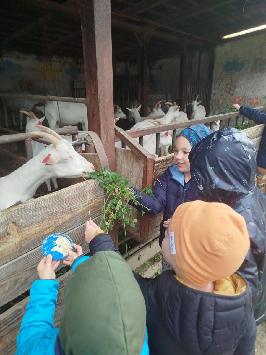 Viber slika 2025 12 02 13 11 34