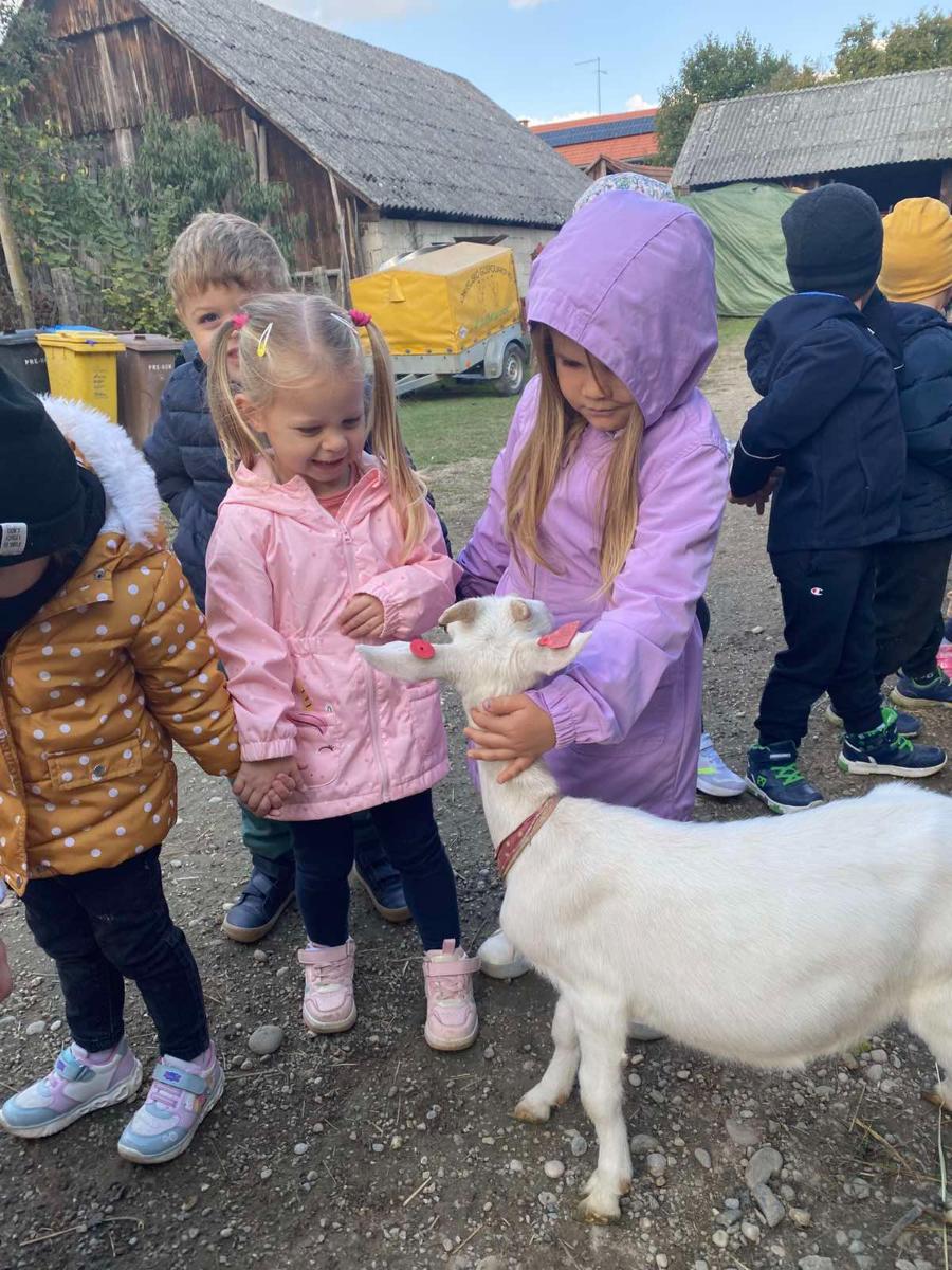 Viber slika 2025 12 02 13 11 34