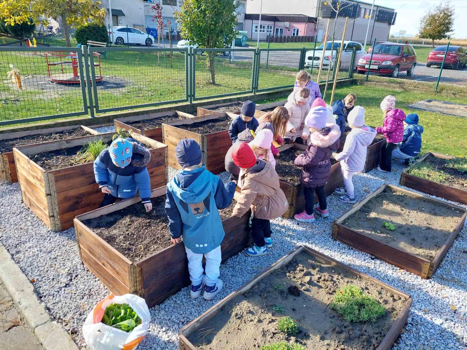 Viber slika 2025 12 02 13 12 15