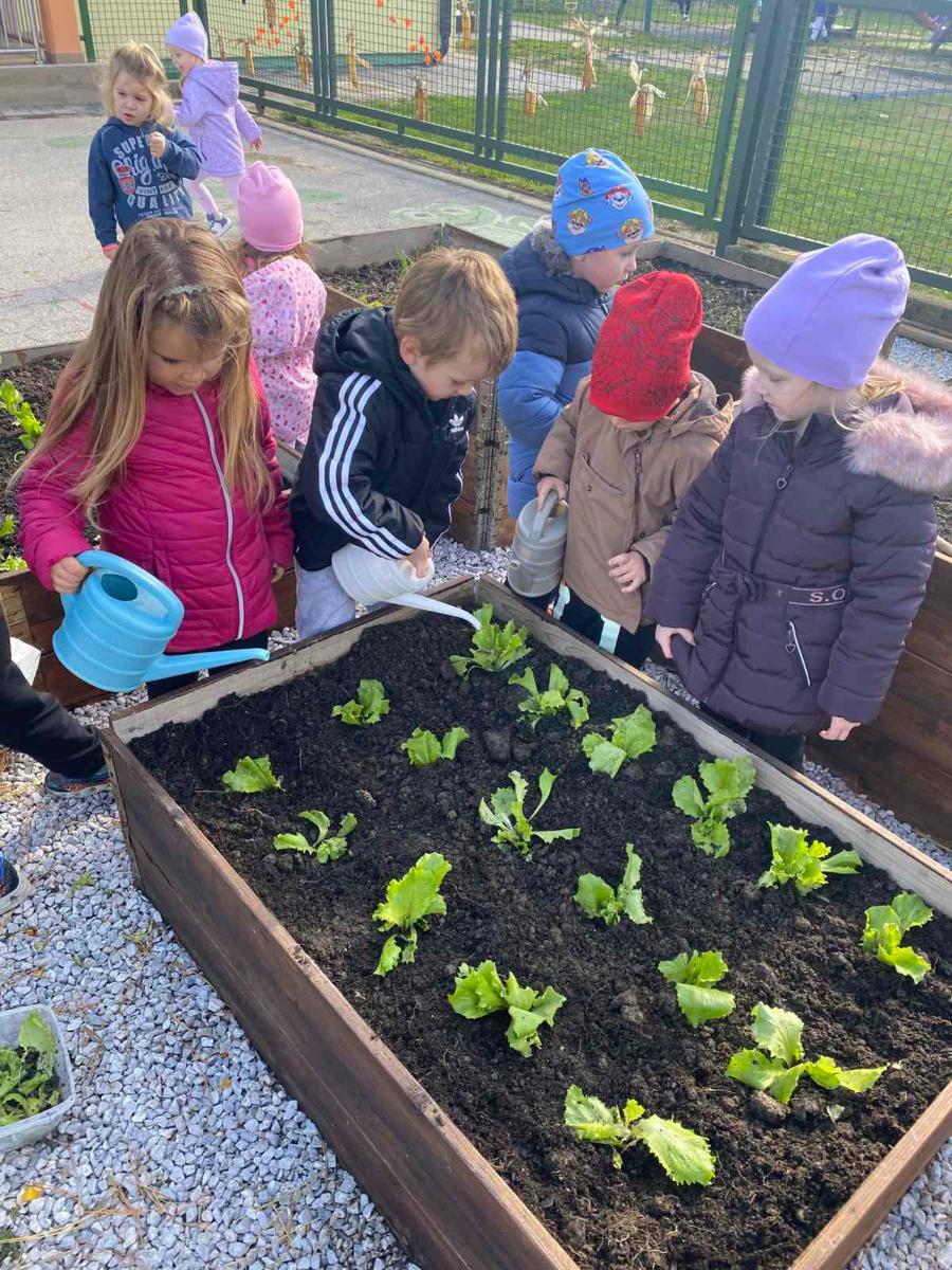 Viber slika 2025 12 02 13 12 31