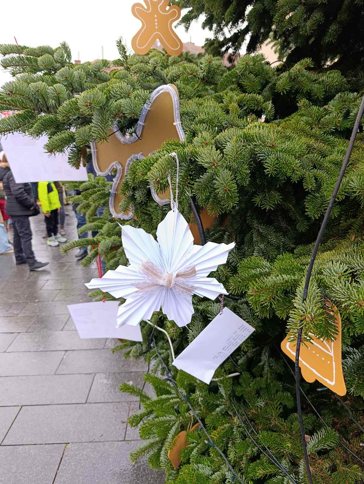 Viber slika 2025 12 06 14 19 11