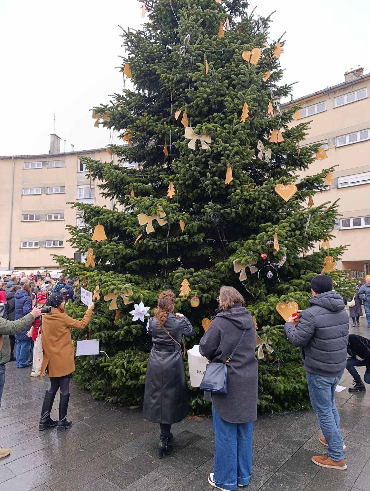 Viber slika 2025 12 06 14 19 44