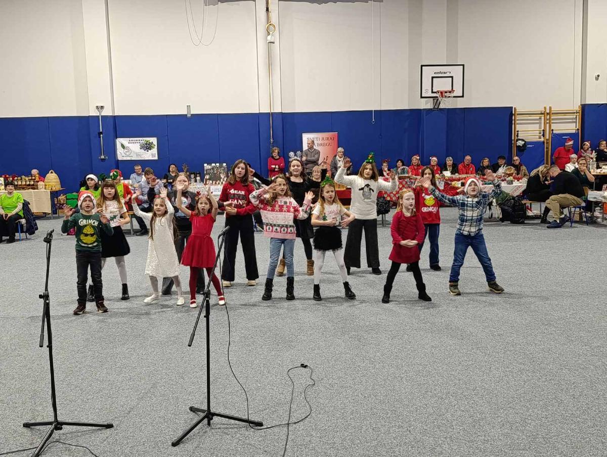 Viber slika 2025 12 14 16 06 33