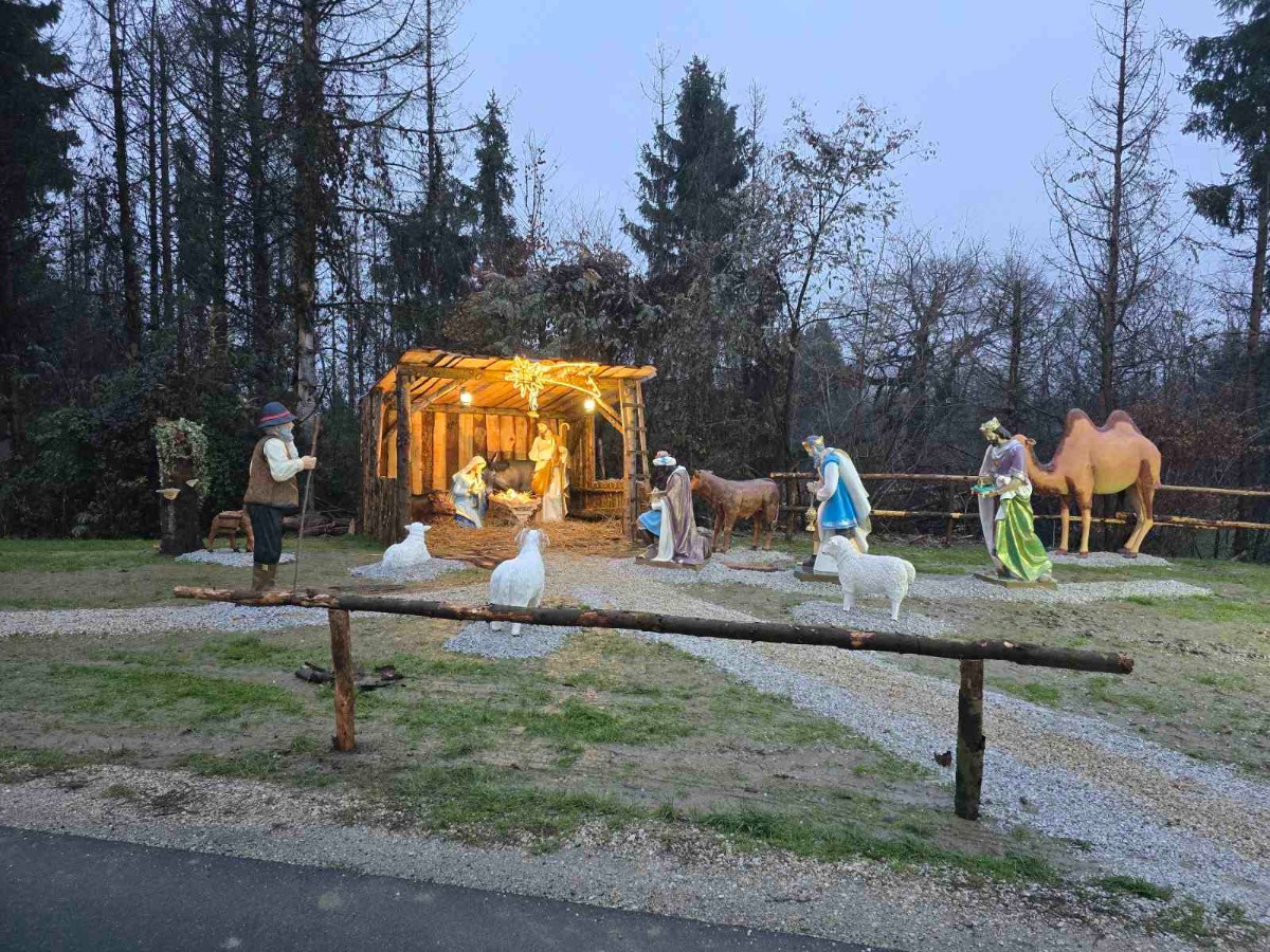 Viber slika 2025 12 16 15 29 18