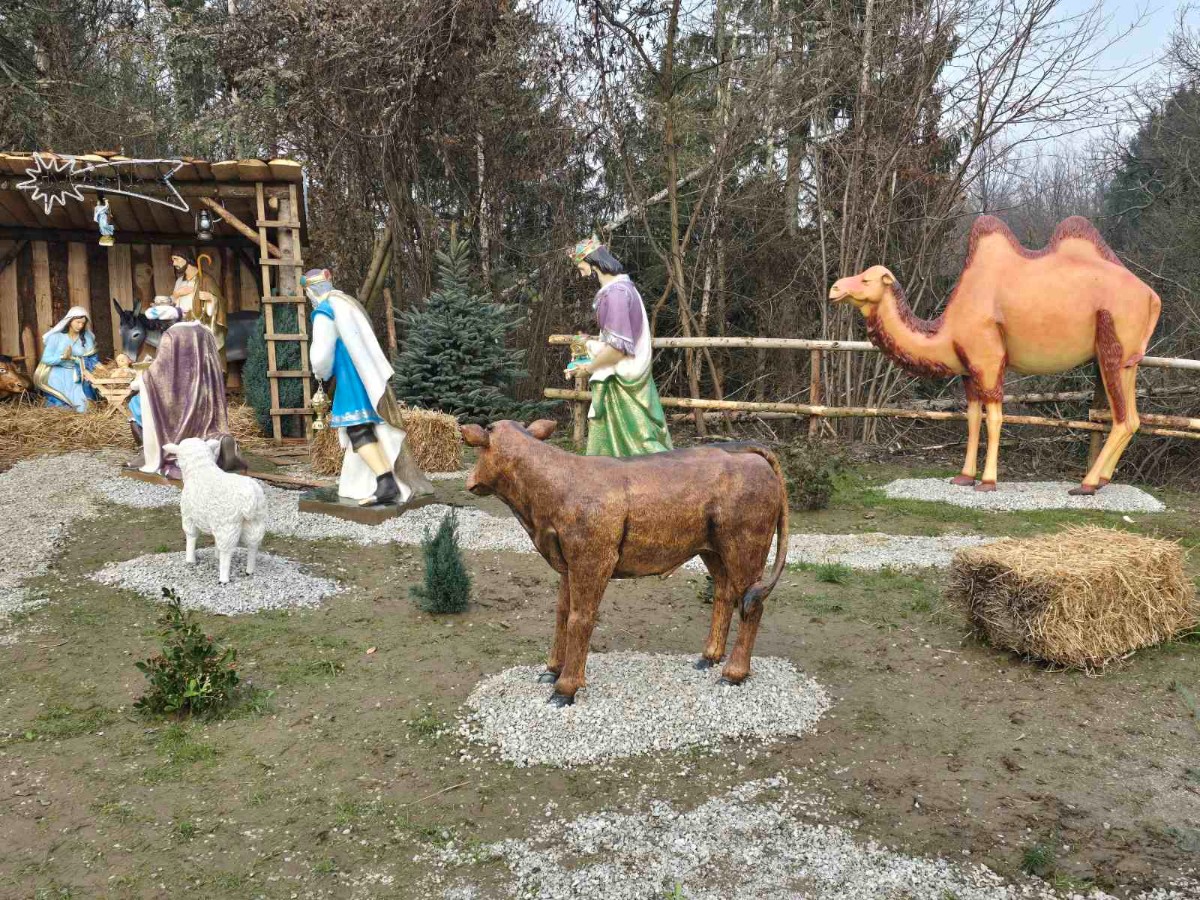 Viber slika 2025 12 16 15 29 30