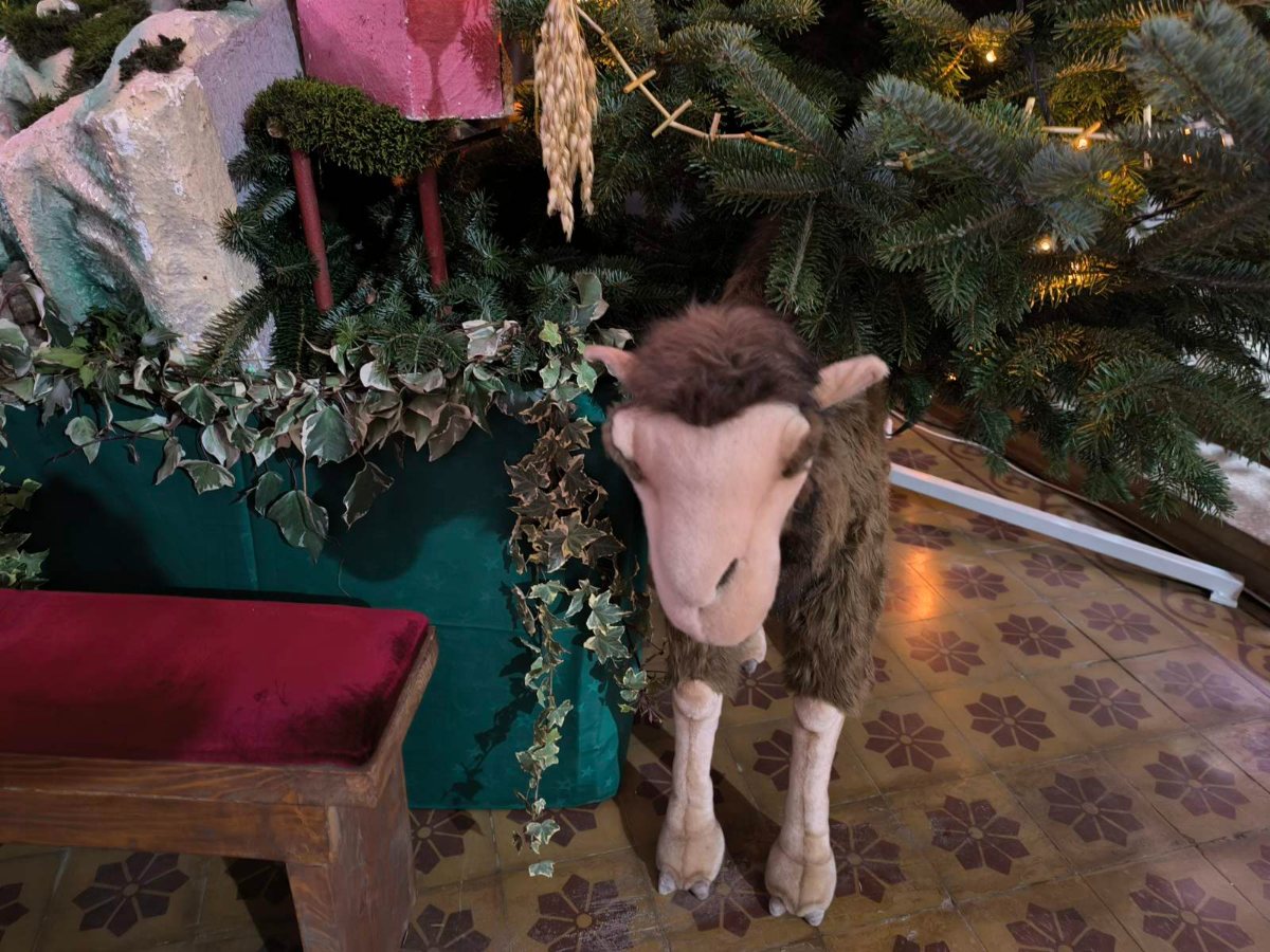 Viber slika 2025 12 24 19 34 29