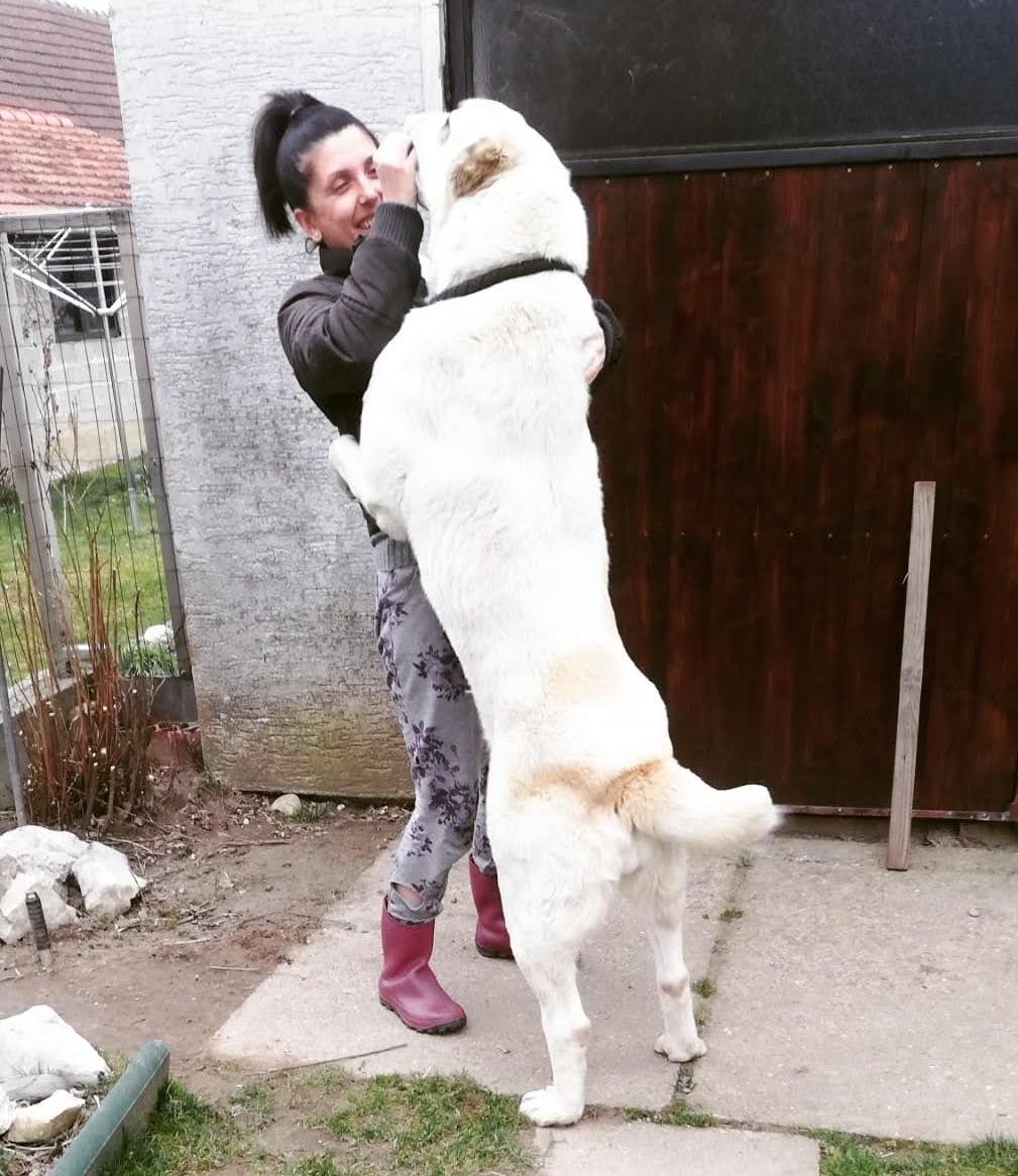 Za unutra 4 Mirela Grošanić i njezina kujica Luna