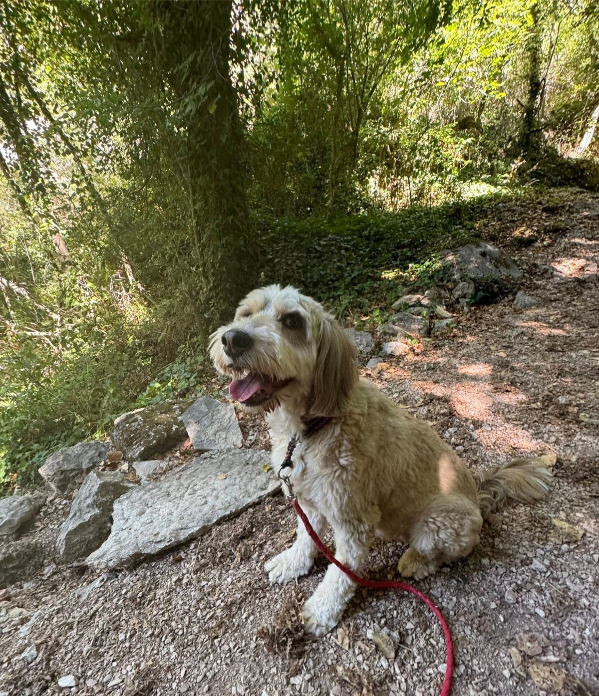 605263291 26339987712255894 3552232619370904477 n