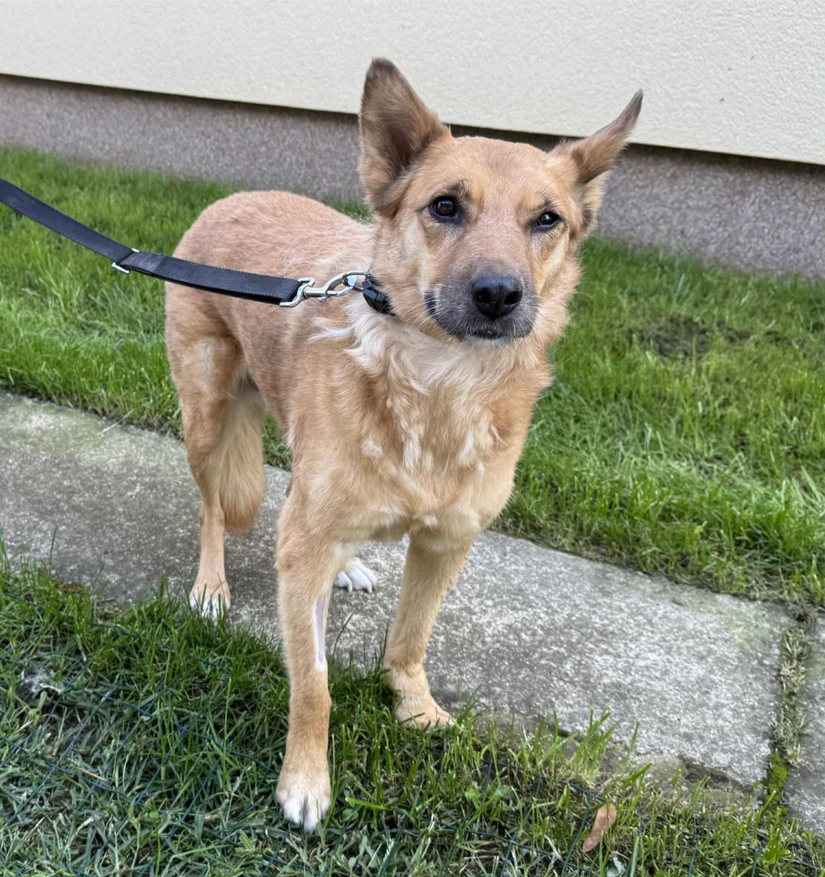 605526451 26339989392255726 4630139441811771293 n