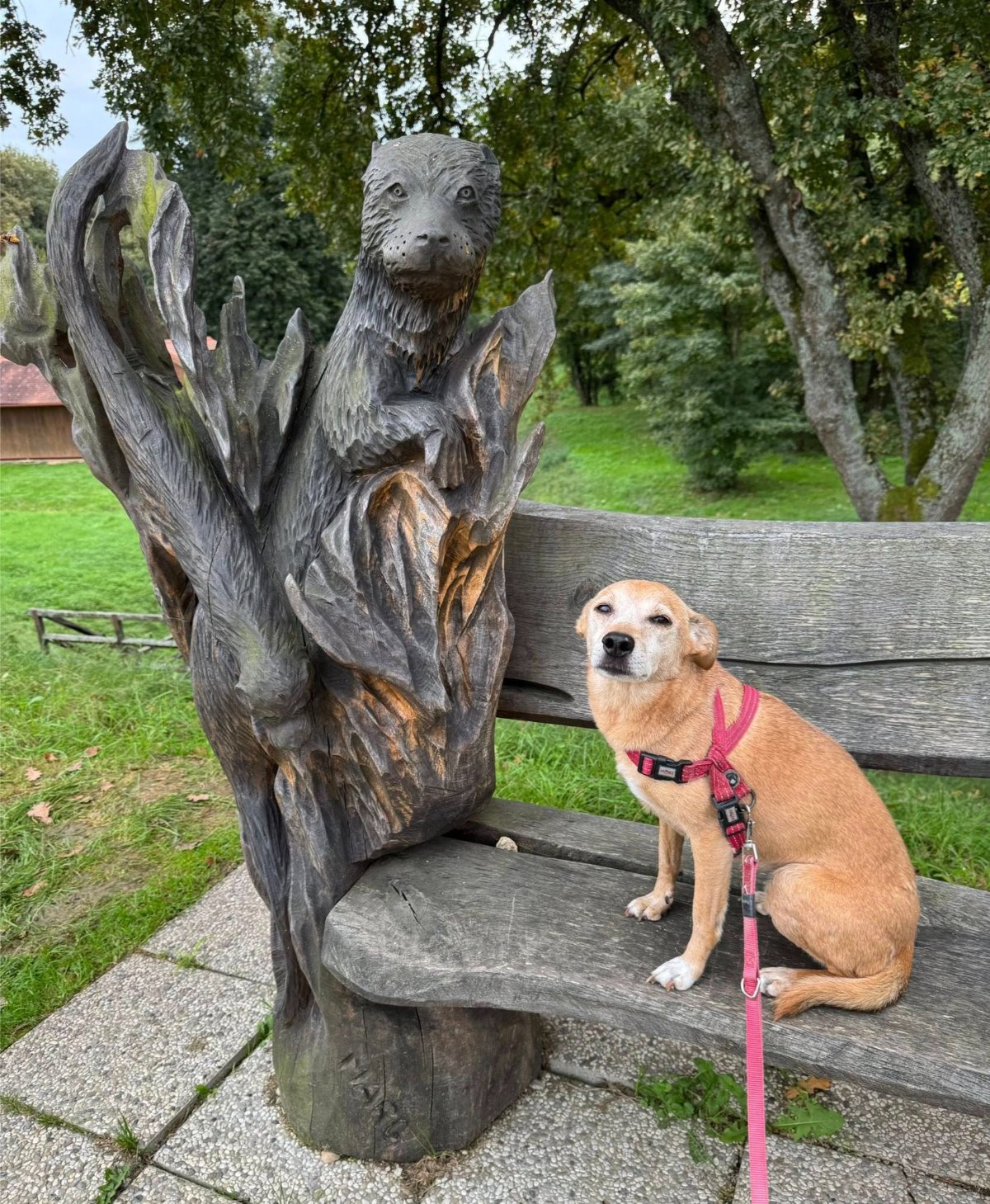 605527037 26339989125589086 7144058506279522209 n