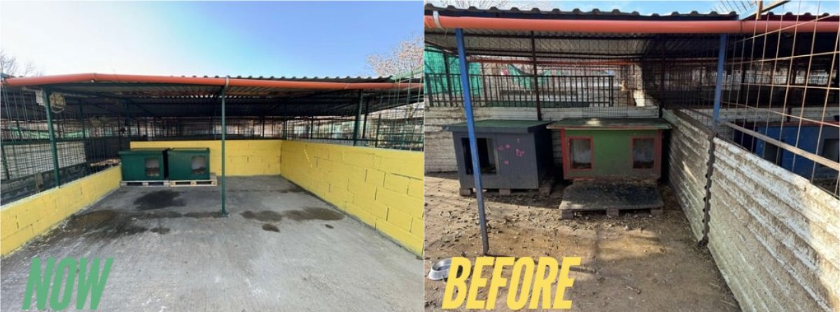 605537723 26339985662256099 7100139630680090436 n