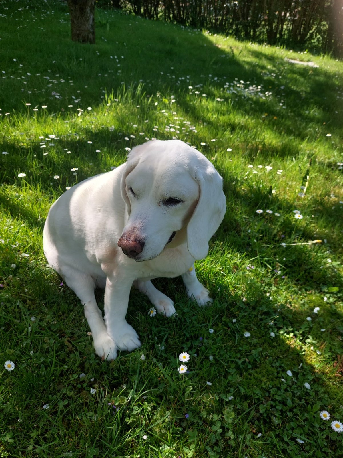 605545288 26339989942255671 6829133741850236942 n