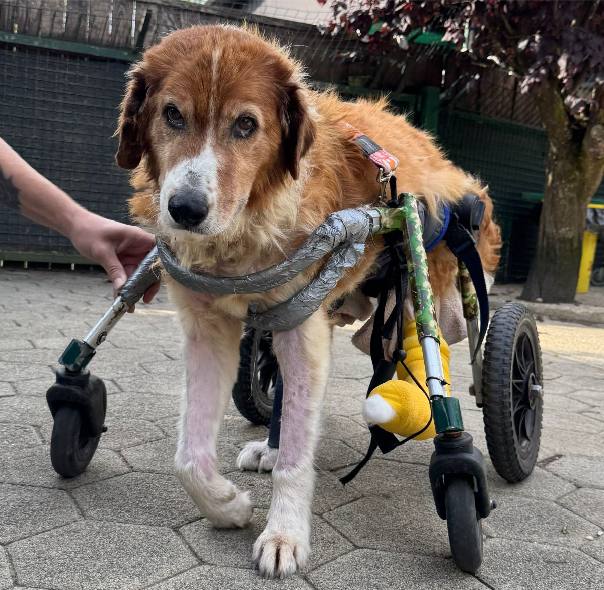 605628117 26339988815589117 8230270616392644778 n