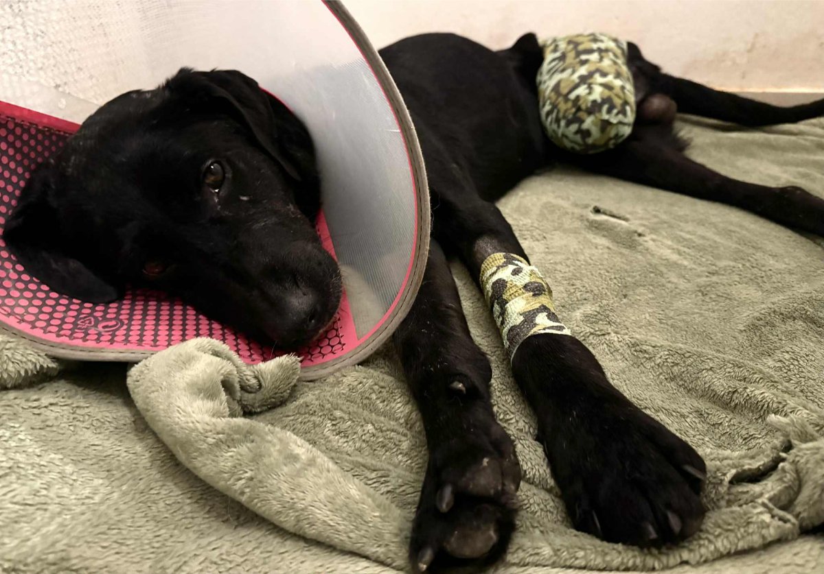 605634090 26339989955589003 302639197465091603 n