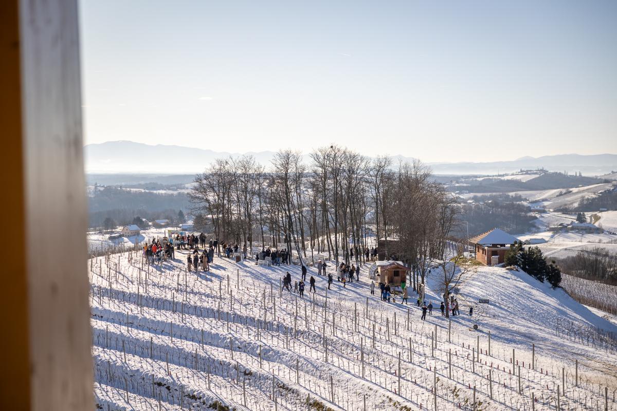 605635205 1455254666604234 2784411403700488850 n