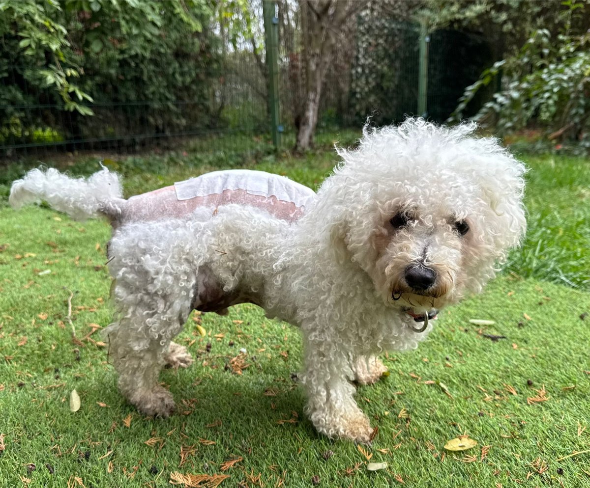 605709884 26339989622255703 7083749264401030791 n