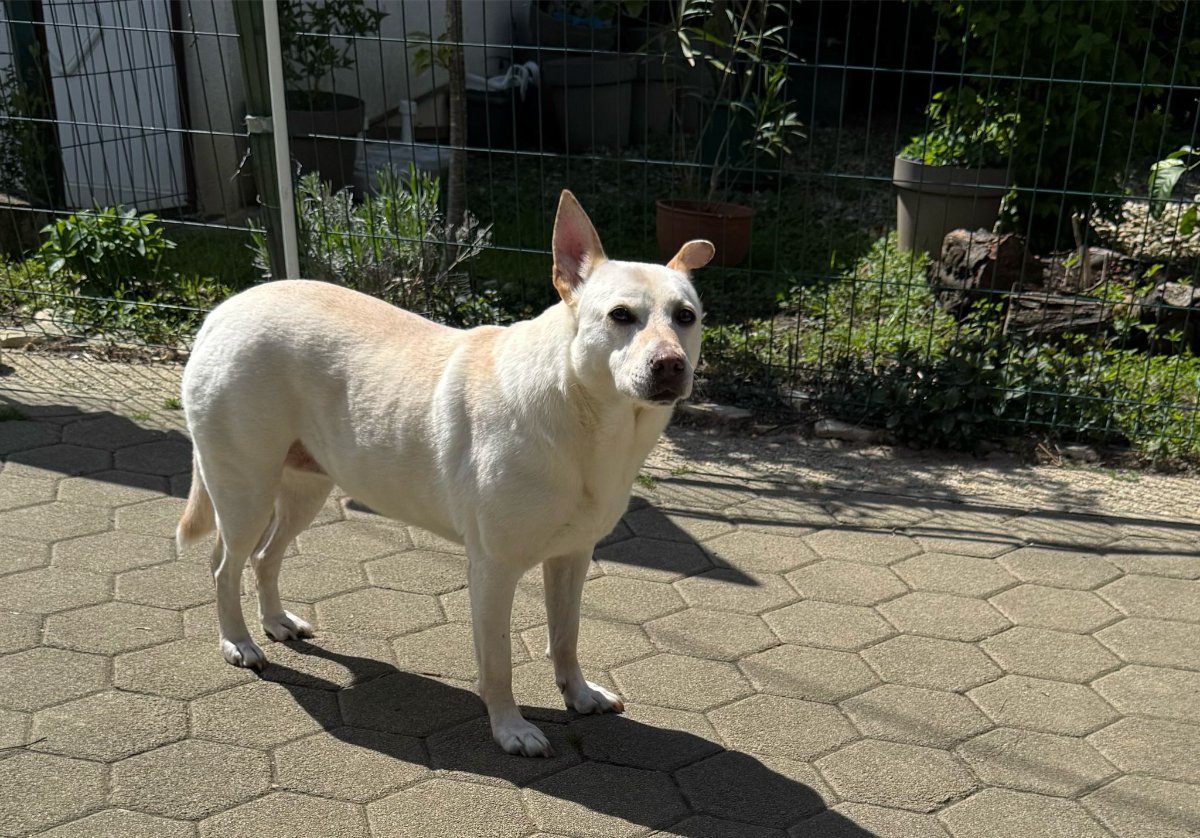 605718480 26339986038922728 2773061498117668678 n