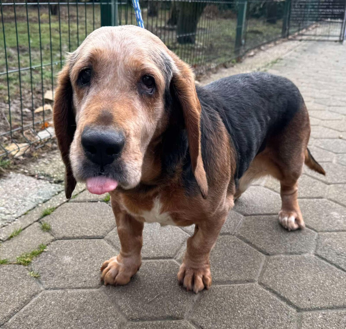 605723600 26339986642256001 5915029692314080932 n