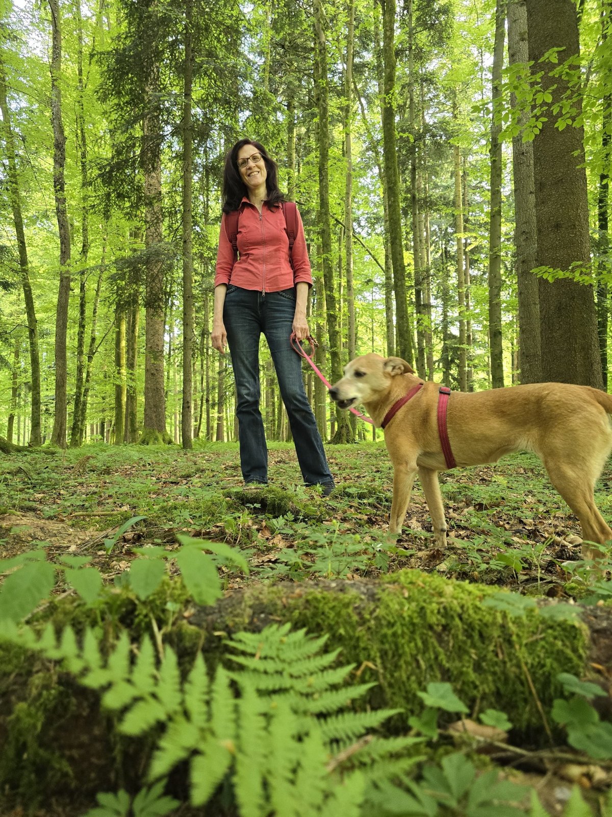 605724905 26339986292256036 4831865672419830197 n