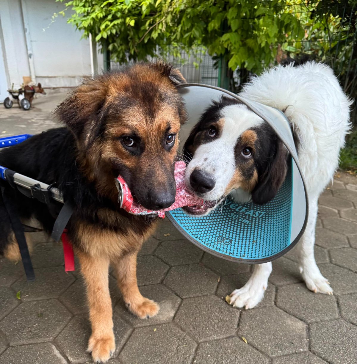 605728406 26339986382256027 6291478723890100043 n