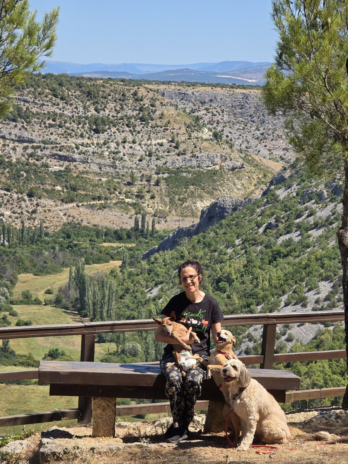 605788360 26339988268922505 2252230198283480252 n