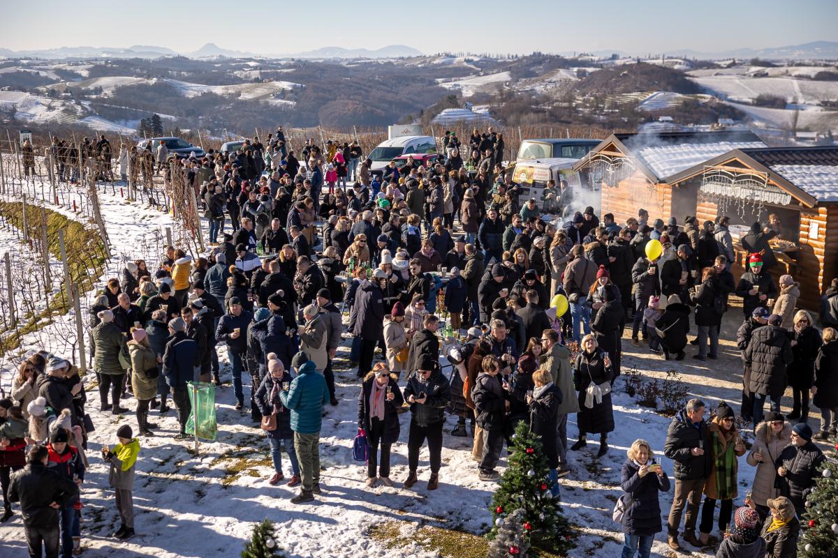 606018693 1455254566604244 4093399778753460129 n