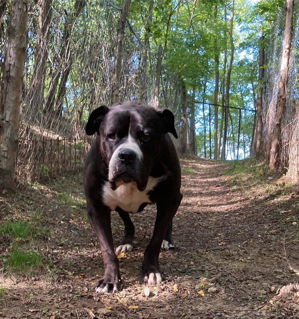 606032202 26339987972255868 7606863646767766128 n