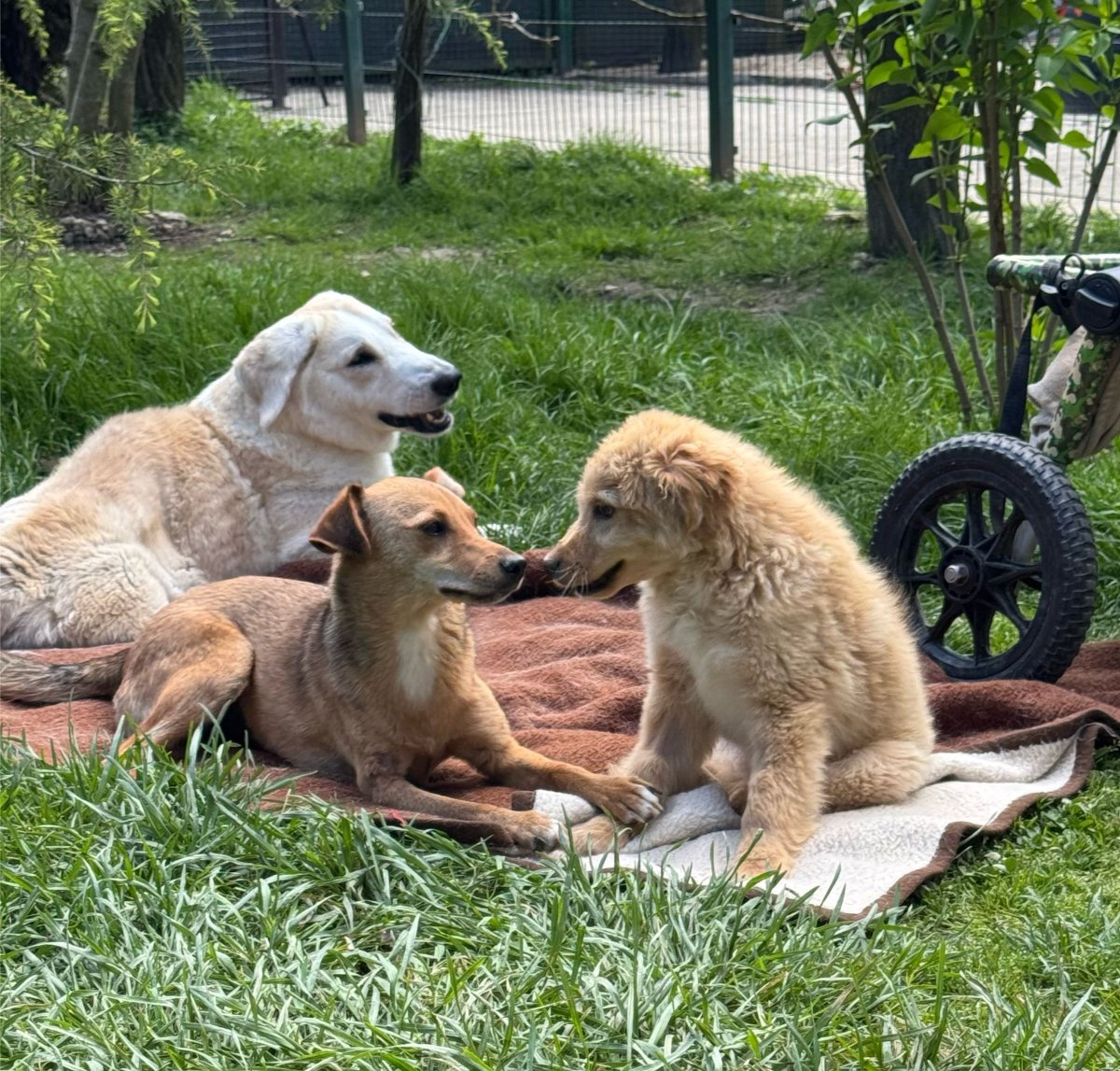 606206537 26339985778922754 2810060907590558987 n