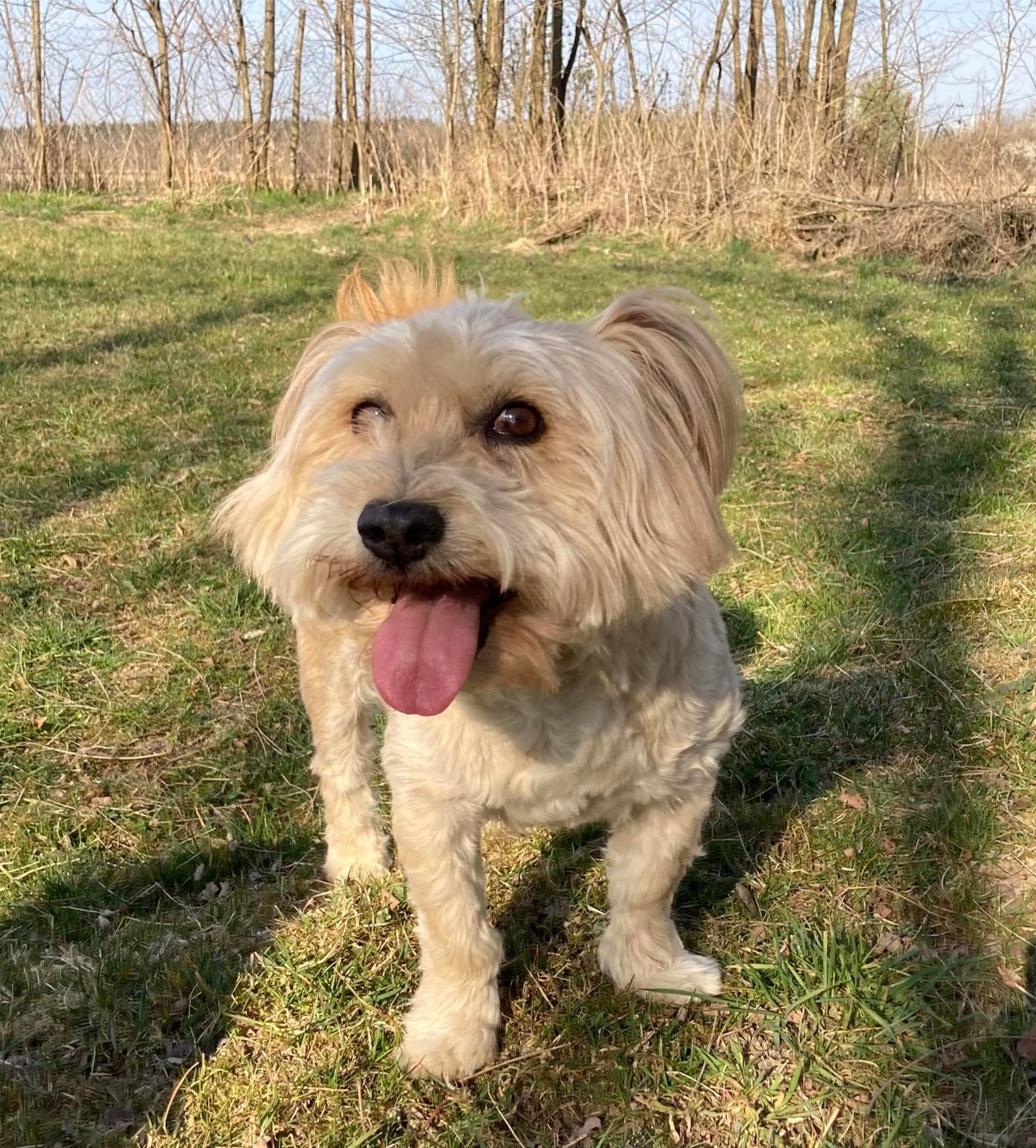 606230955 26339989698922362 2379309188677807370 n