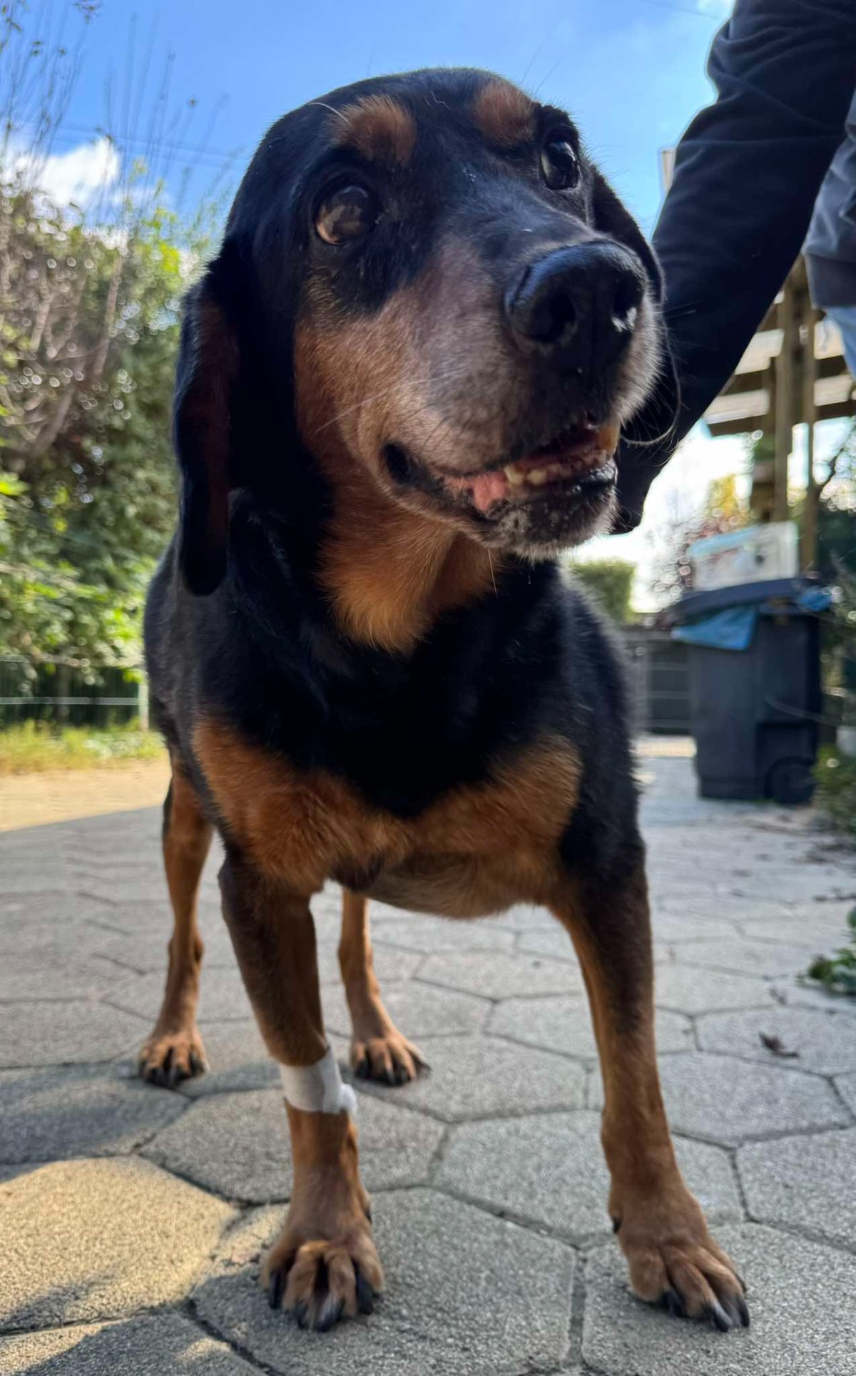 606440150 26339990005588998 7309019995746956688 n