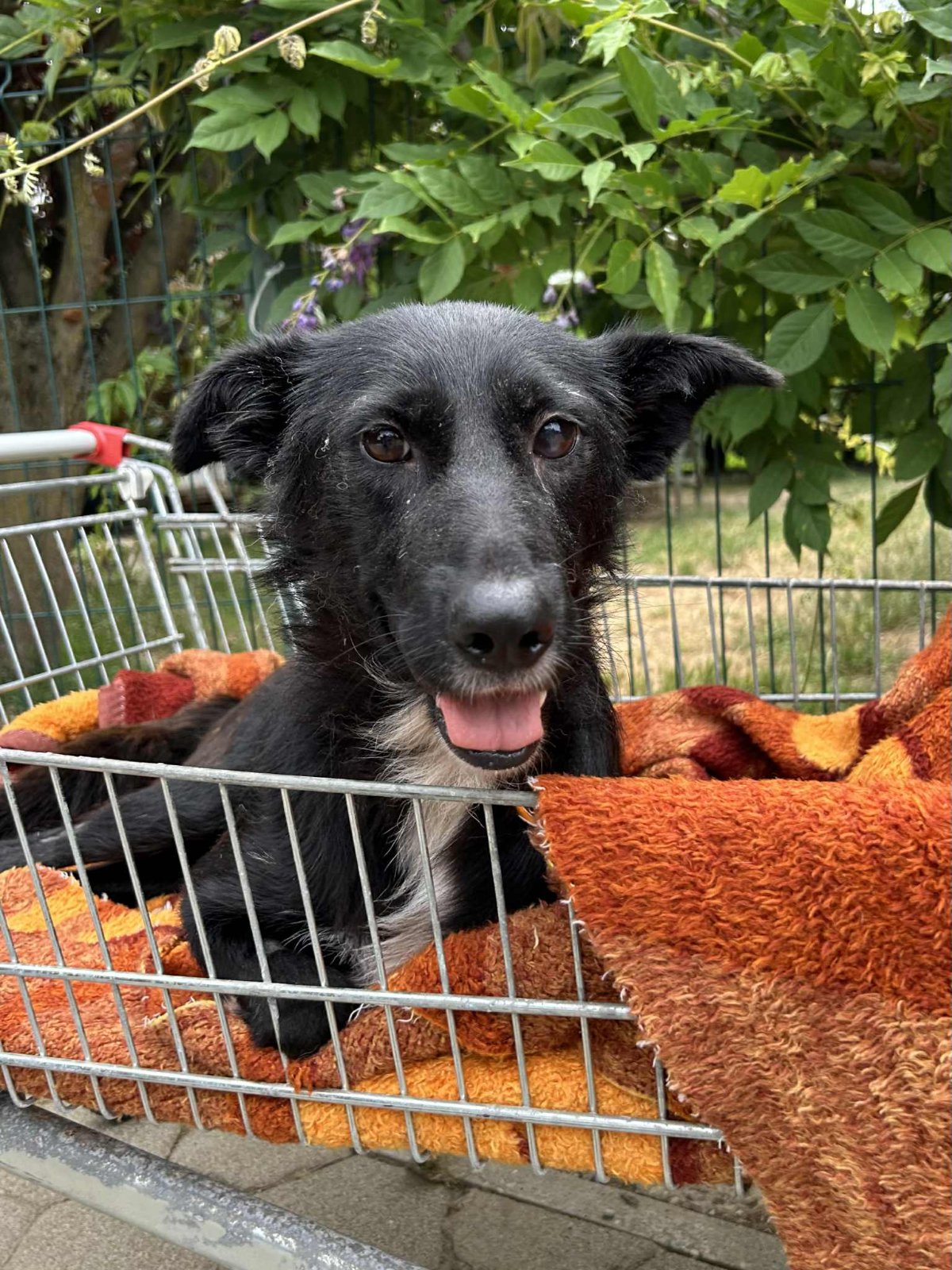 606616461 26339989162255749 1168843020466745430 n