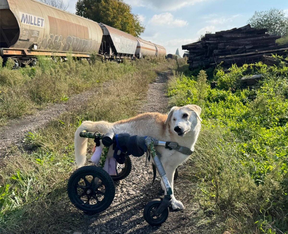 606904206 26339989258922406 8276251226828679572 n