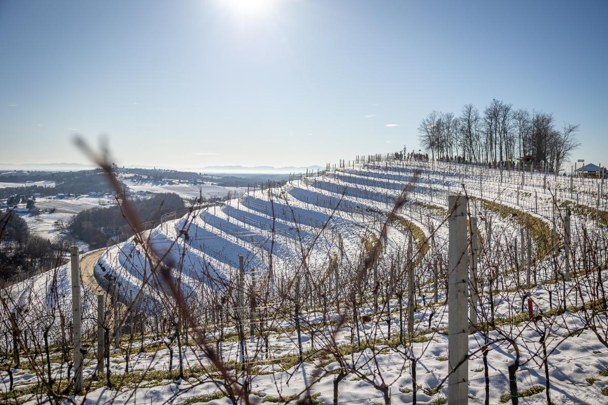 607165553 1455253239937710 1660000920522315059 n