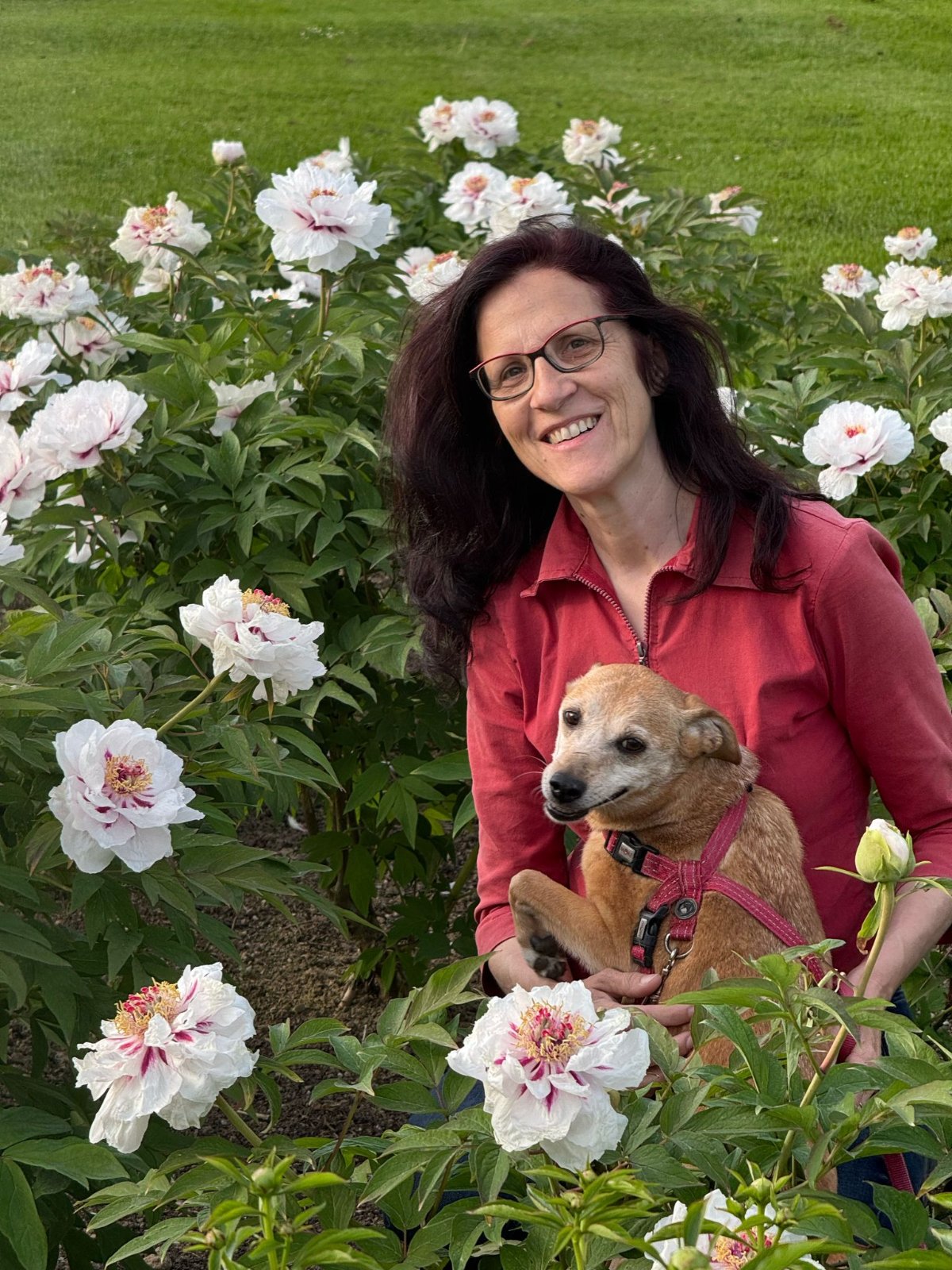 607631872 26339987575589241 169379939640126974 n