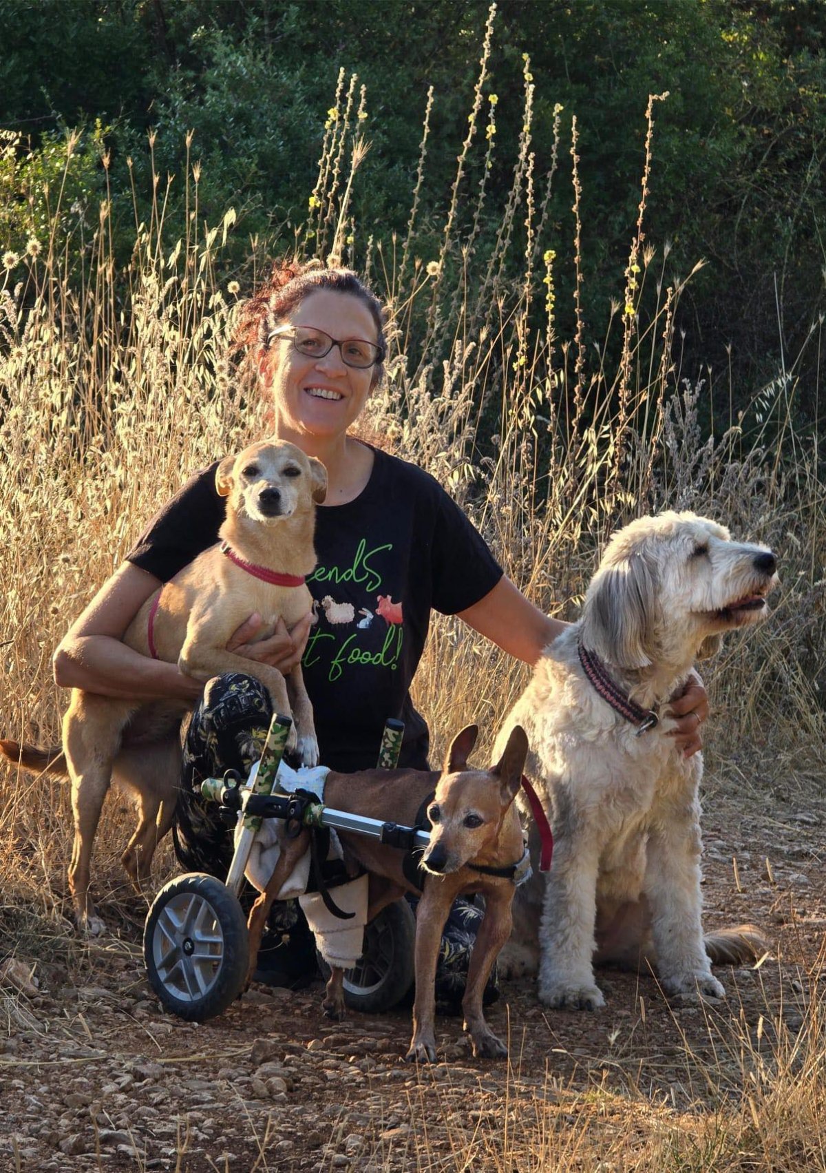 607722165 26339988168922515 4096771736203011589 n