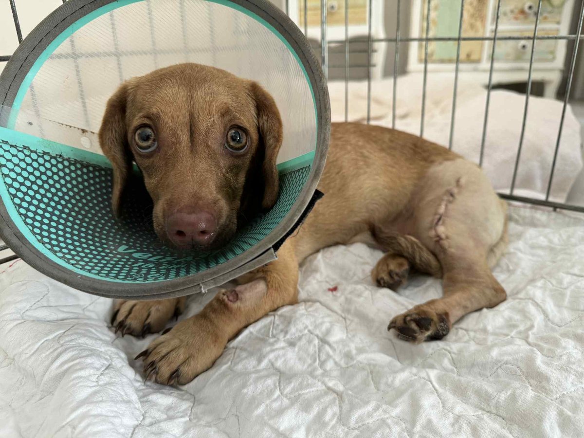 607734504 26339988562255809 5807403510679000907 n