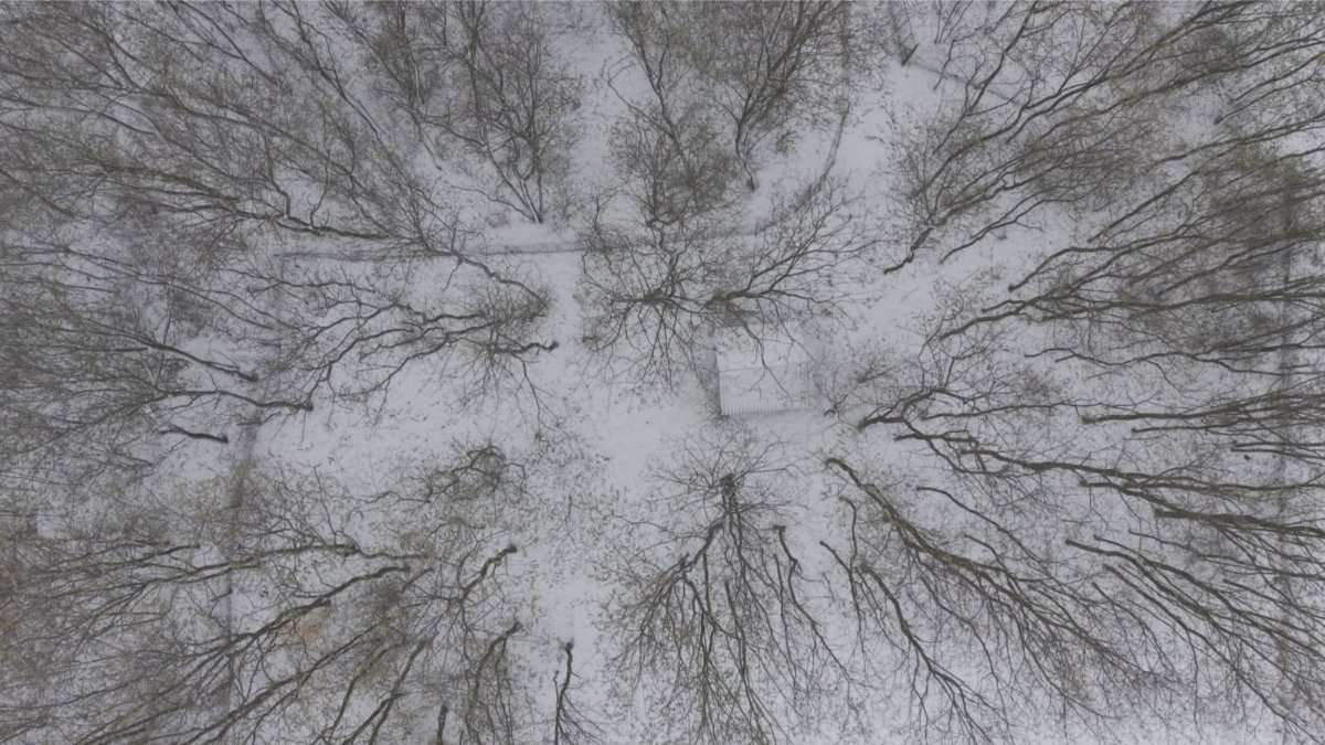 608112254 26339989735589025 3599082231640534377 n