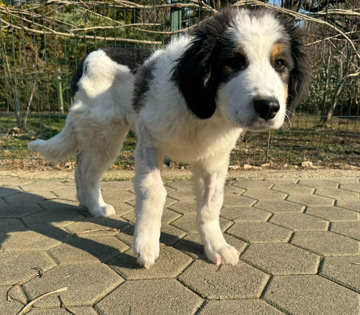 608248314 26339987525589246 8084393489085700385 n