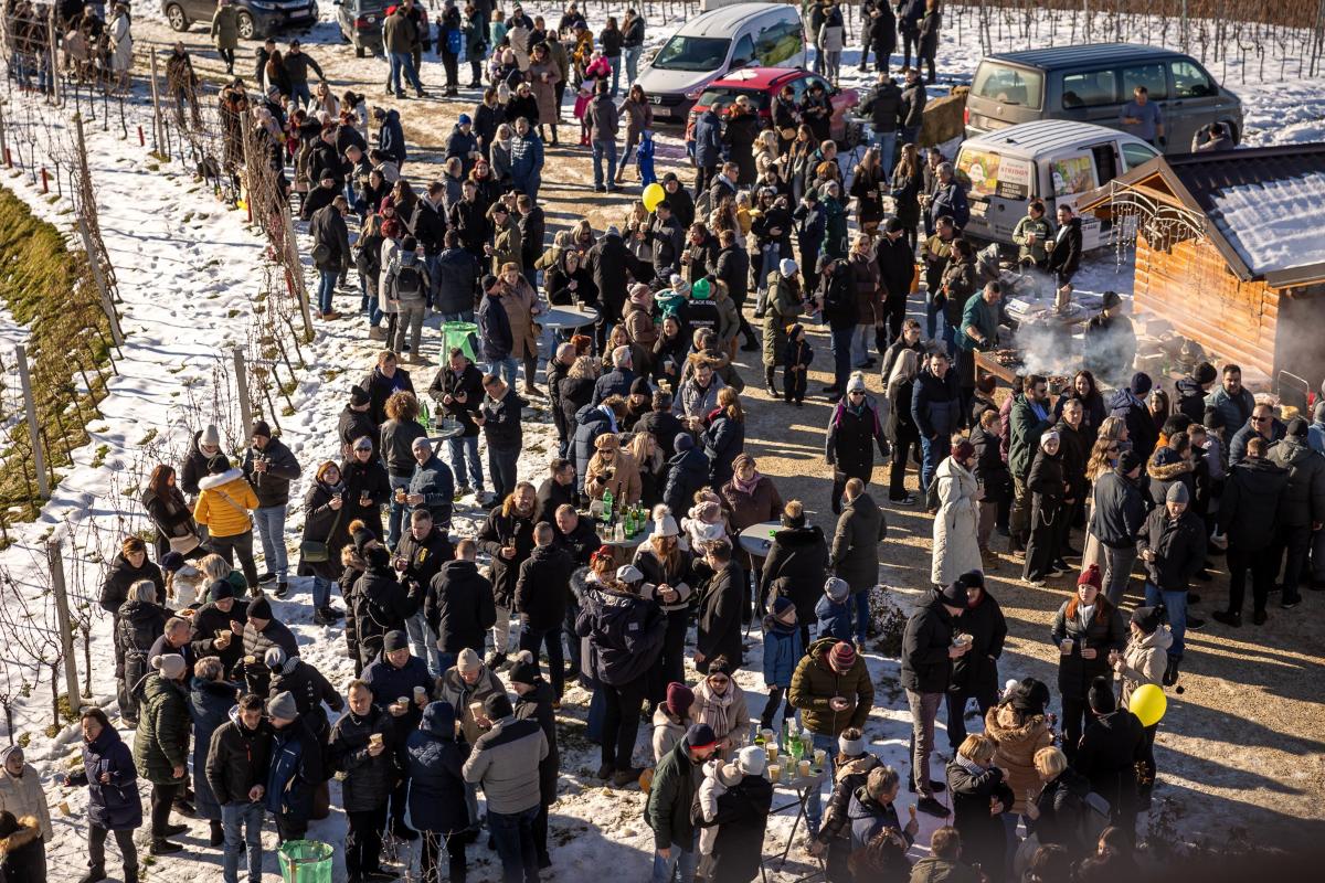 608248607 1455254823270885 7443208074886523668 n