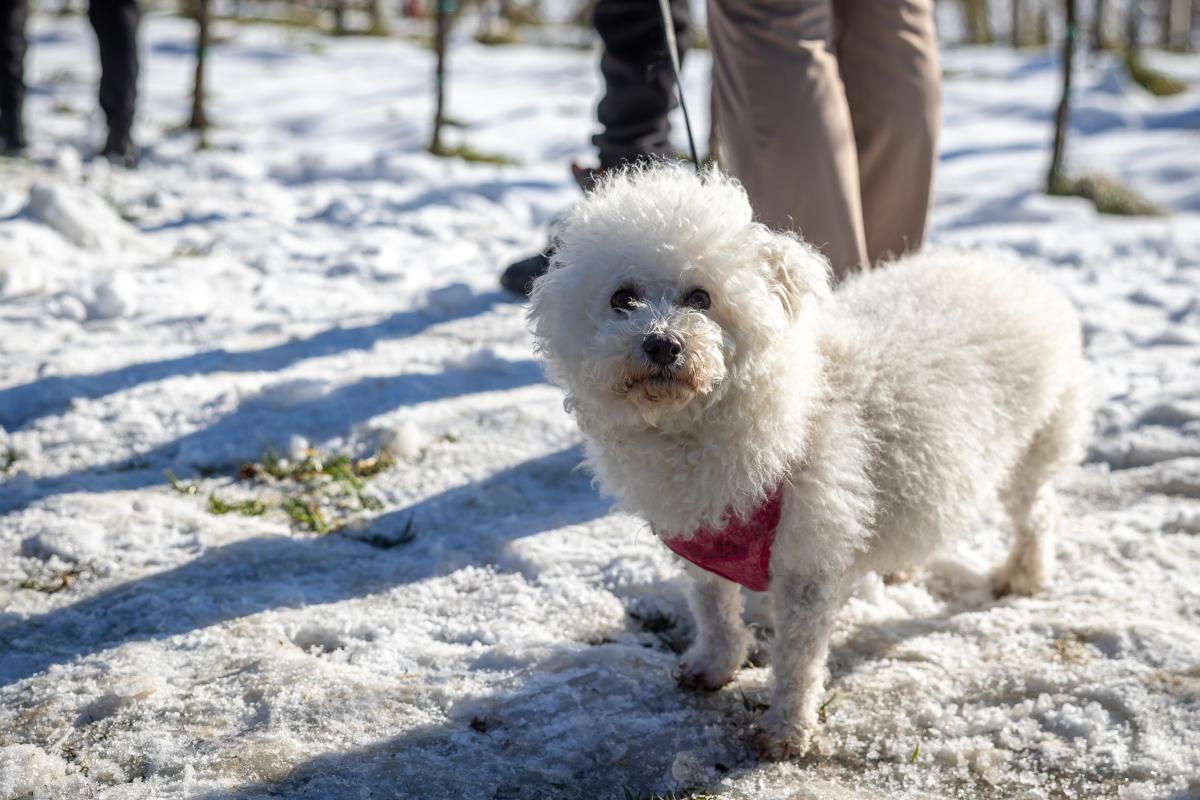 608551721 1455253743270993 4681149734265667536 n