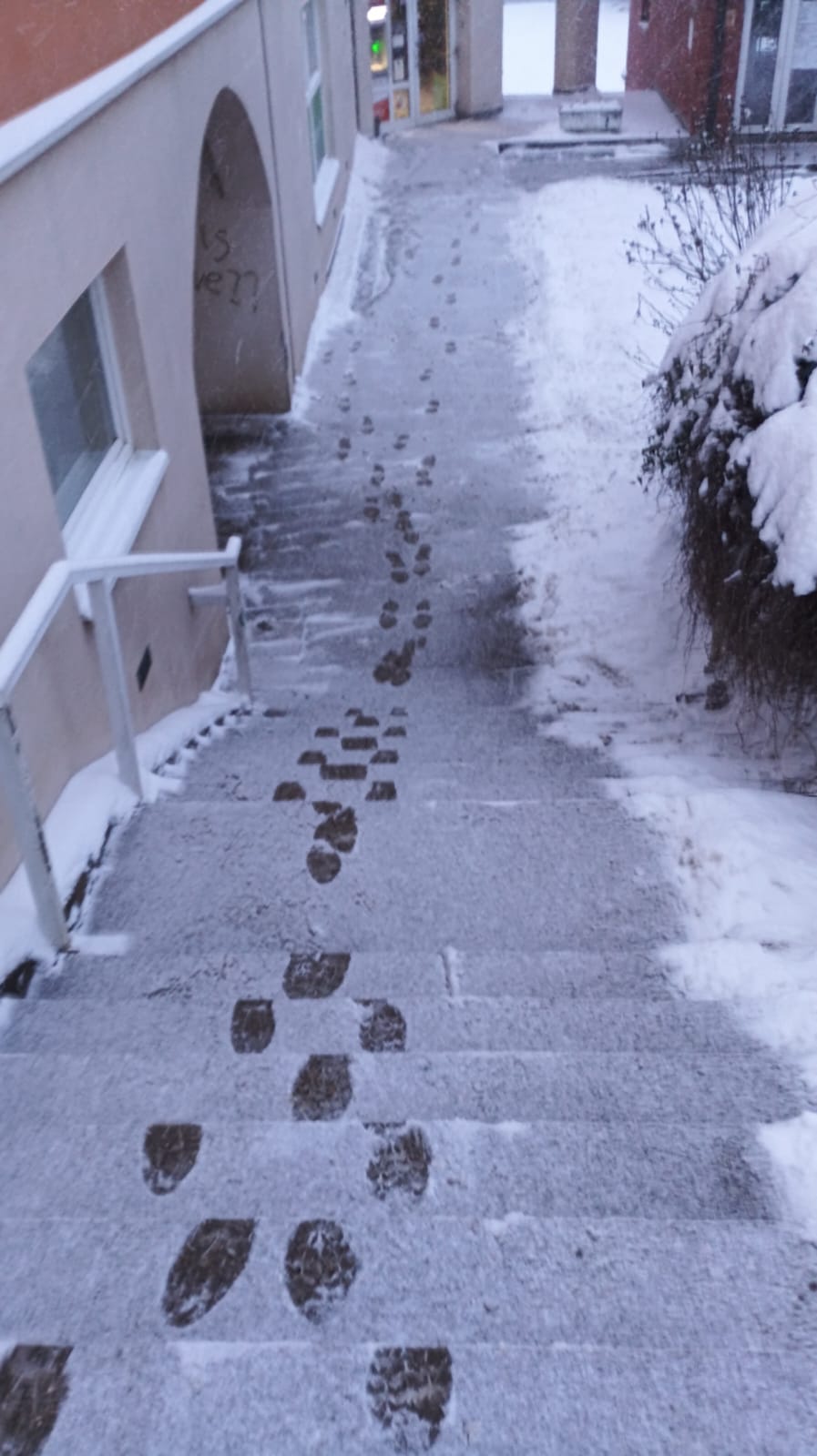 612124806 10235704506447411 7870562984391477564 n