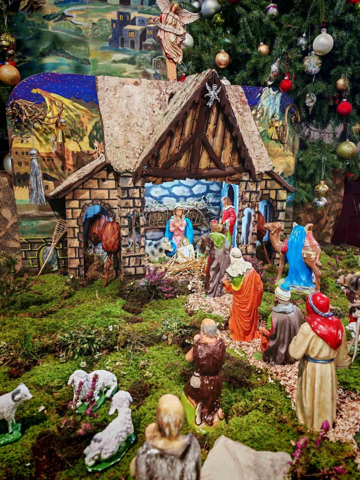 612416877 122195840654502988 7818966760634644067 n