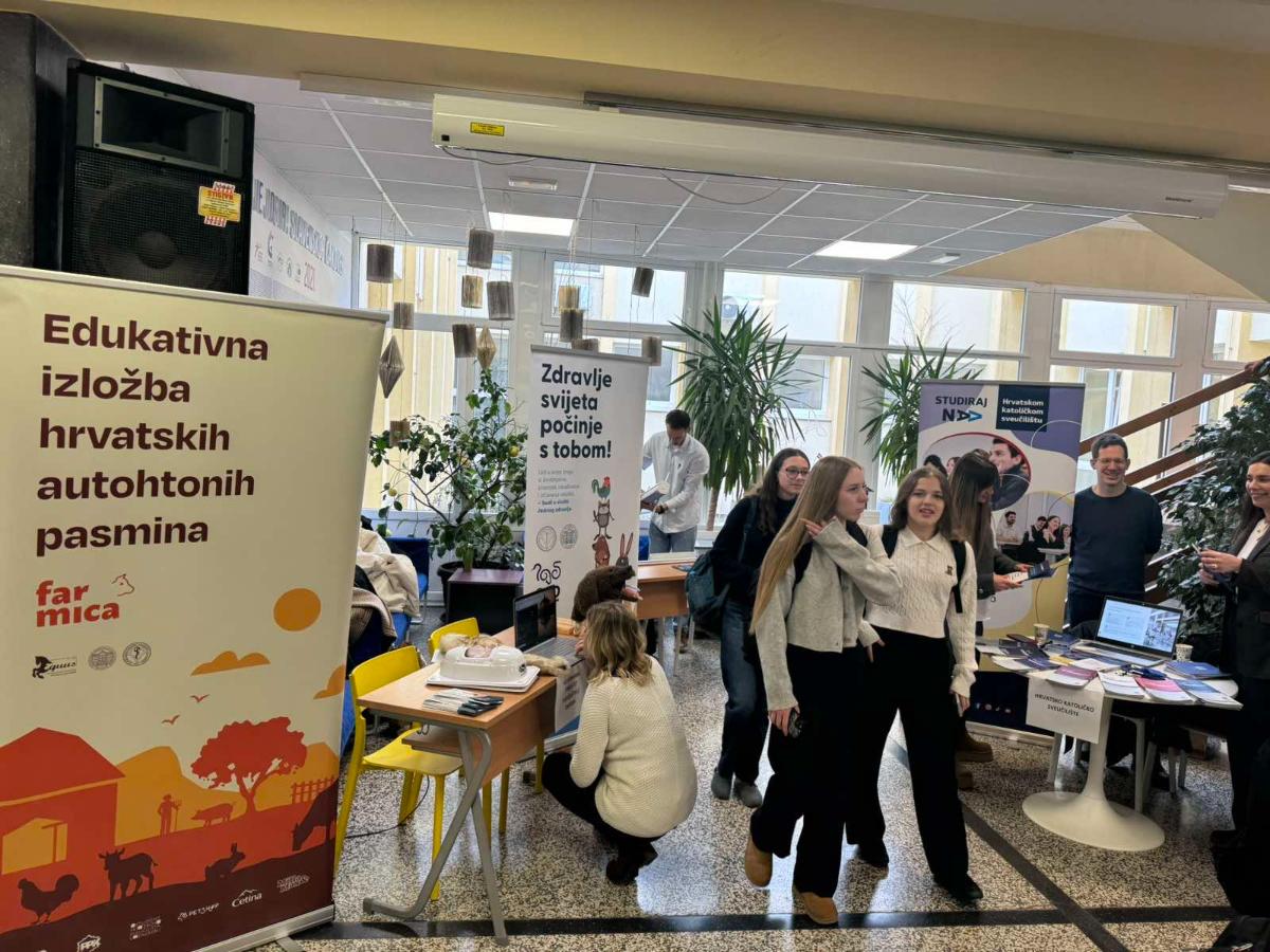 619484415 1475756184557471 5855704690798484867 n