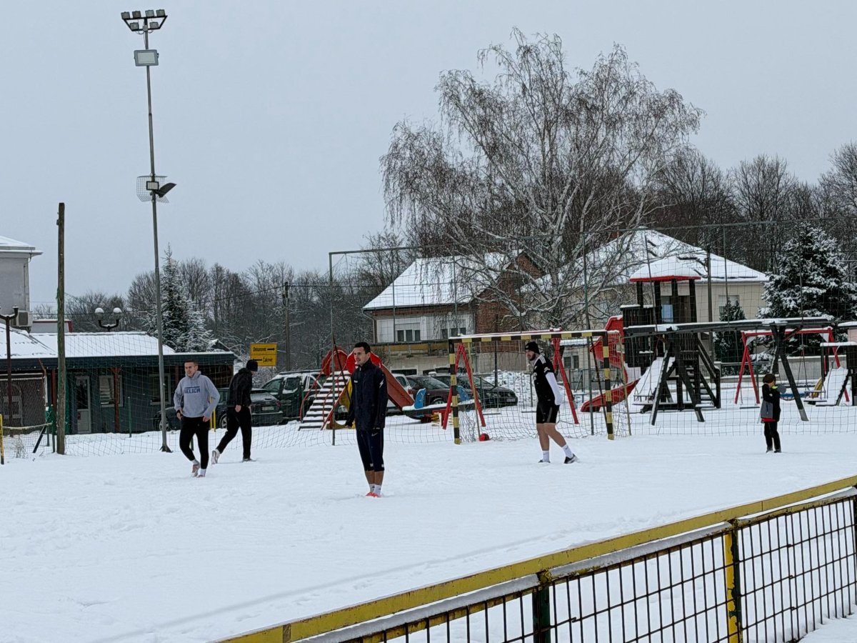 6f5221d0 328c 41e7 aef4 d400ee2e41d9