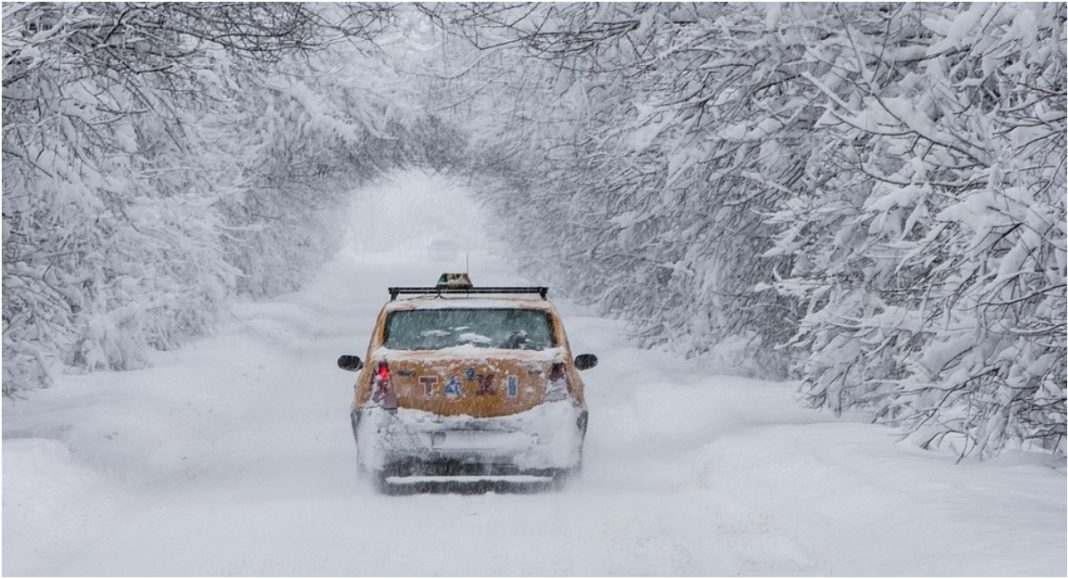 BeFunky collage 2026 01 10T092330.062